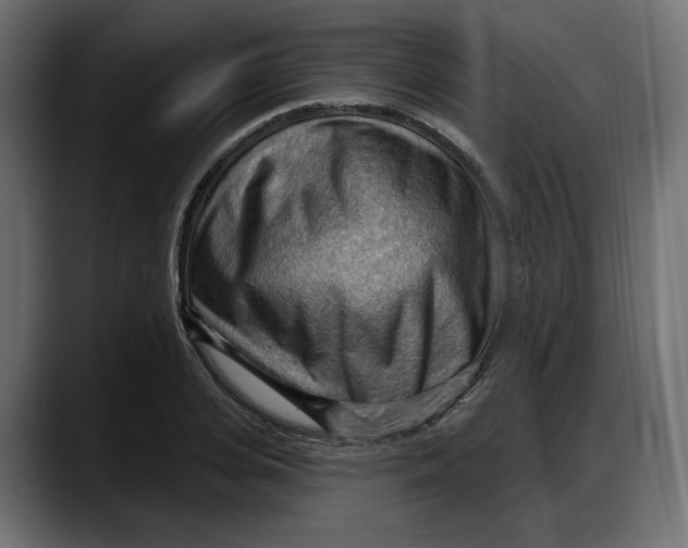 X0000087740935200705291010