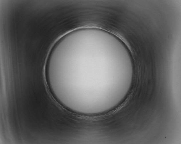 X0000087740936200705291010