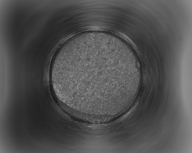 X0000087740938200705291010