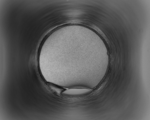 X0000087740939200705291010