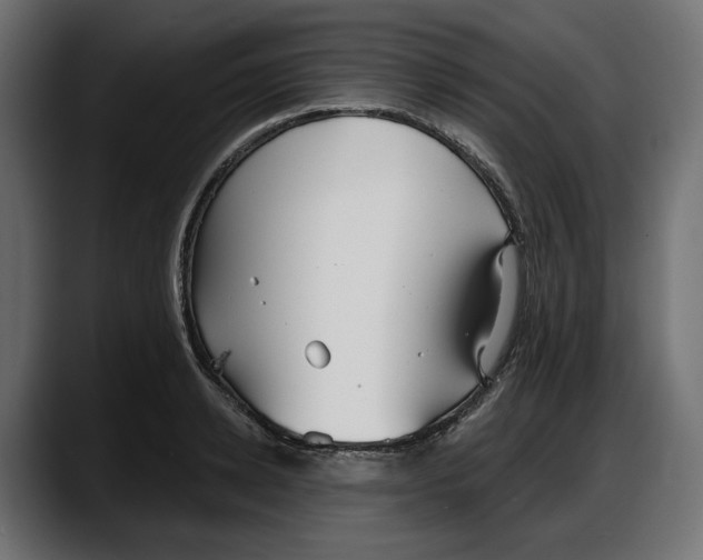 X0000087740942200705291010