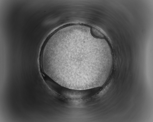 X0000087740943200705291010