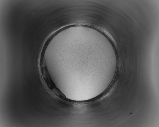 X0000087740944200705291010