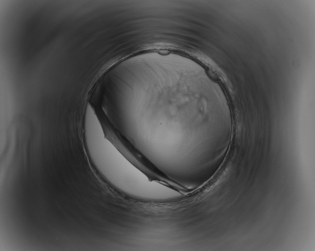 X0000087740945200705291010