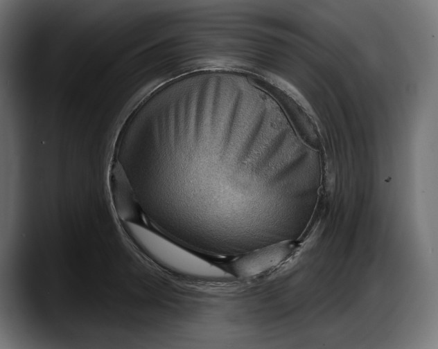 X0000087740946200705291010