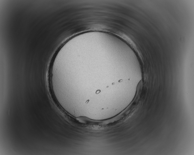 X0000087740947200705291010