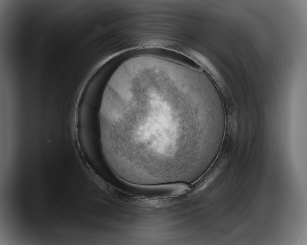 X0000087740948200705291010