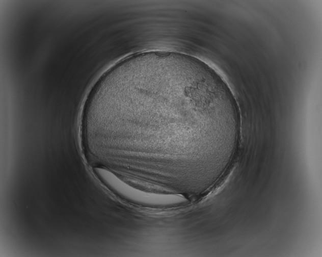 X0000087740949200705291010