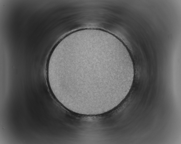 X0000087740950200705291010