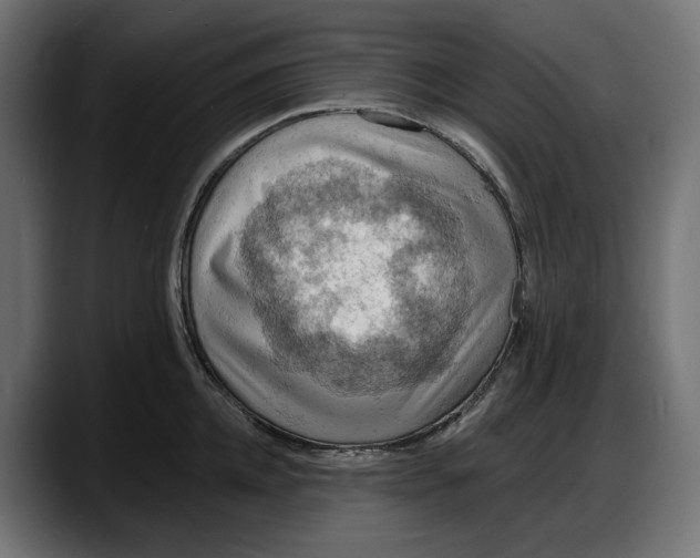 X0000087740952200705291010