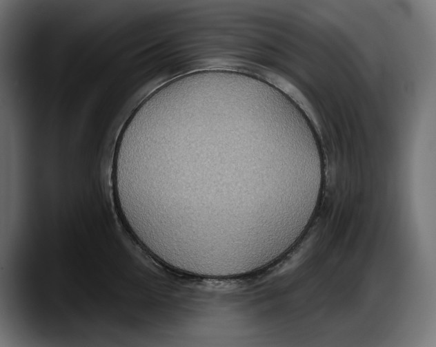 X0000087740954200705291010