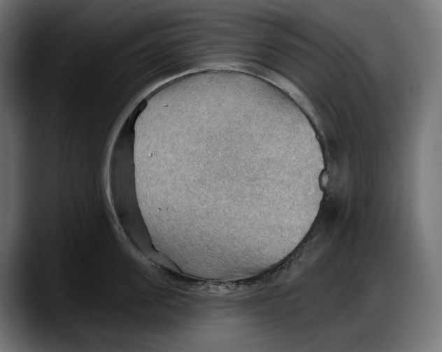 X0000087740955200705291010
