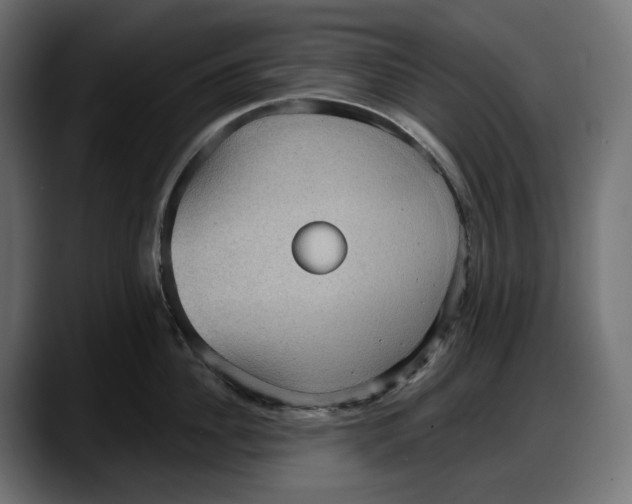 X0000087740956200705291010