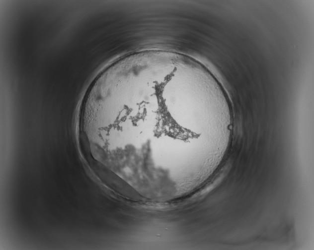 X0000087740957200705291010