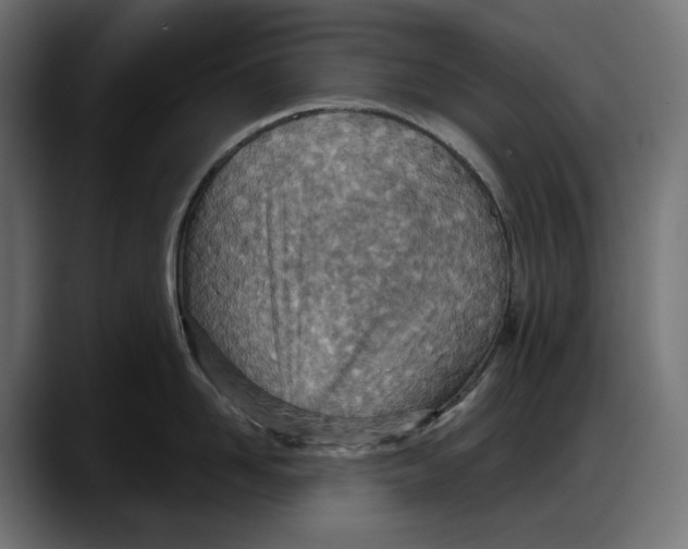 X0000087740958200705291010