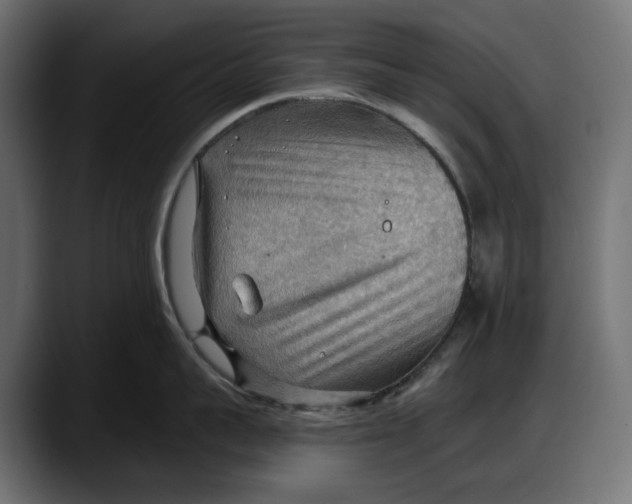 X0000087740959200705291010