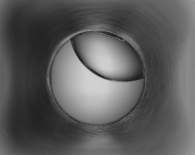 X0000087740960200705291010