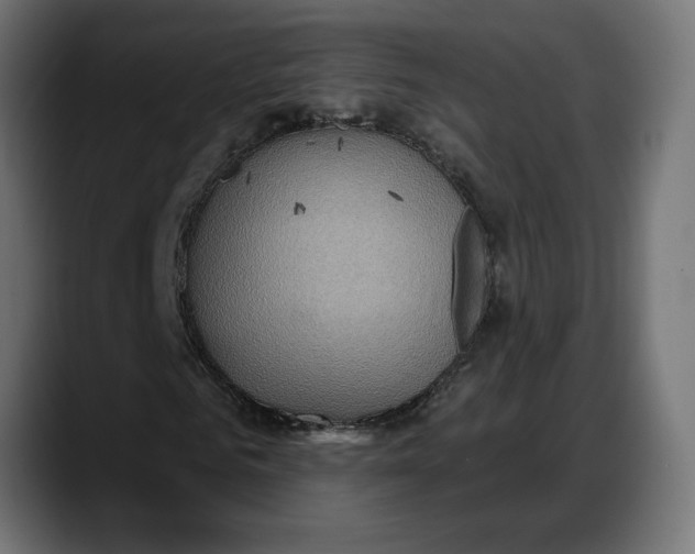 X0000087740961200705291010