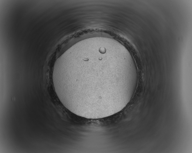 X0000087740968200705291009