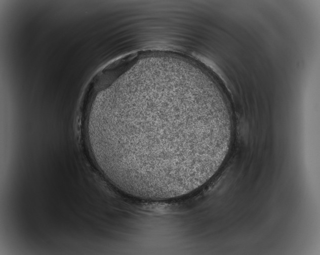 X0000087740971200705291009