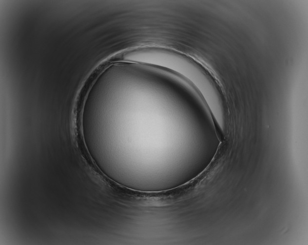 X0000087740976200705291009