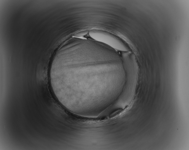 X0000087740977200705291009