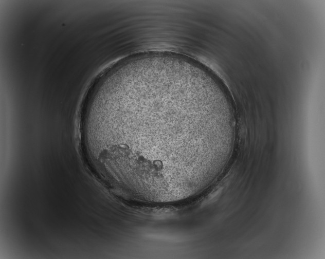 X0000087740979200705291009
