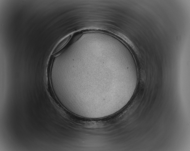X0000087740980200705291009
