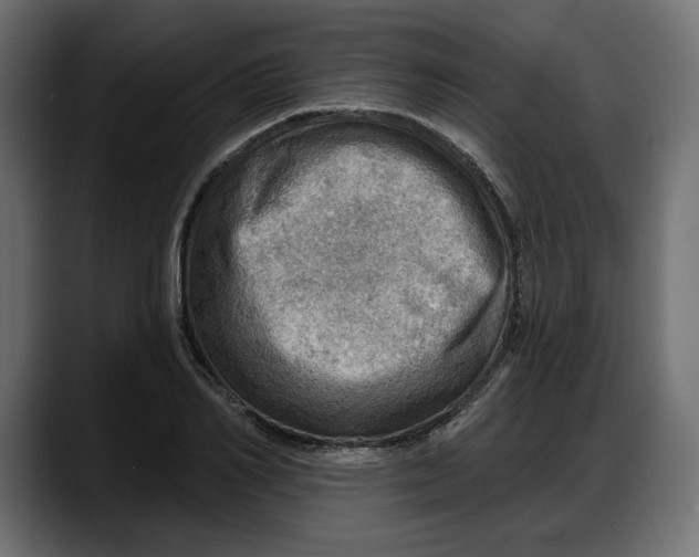 X0000087740982200705291009