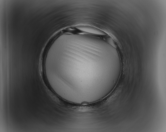 X0000087740984200705291009