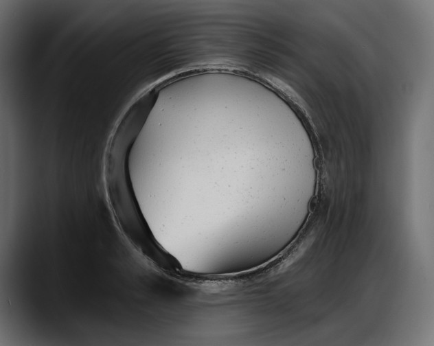 X0000087740989200705291009