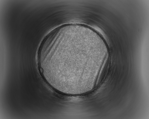 X0000087740990200705291009