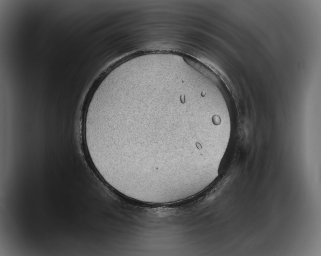 X0000087740992200705291009