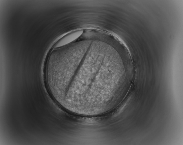X0000087740995200705291009