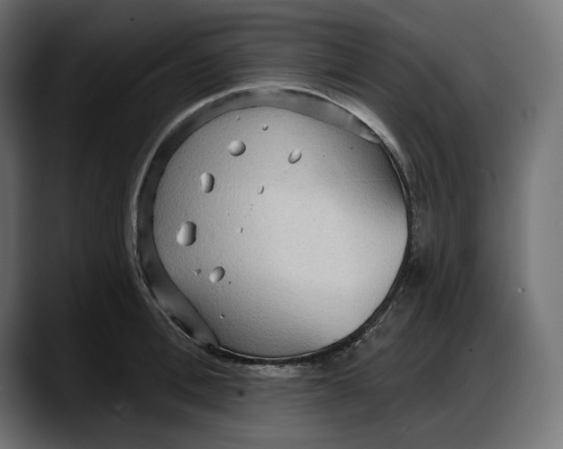 X0000087740996200705291009