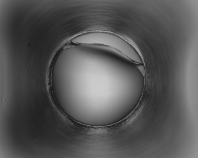 X0000087740997200705291009