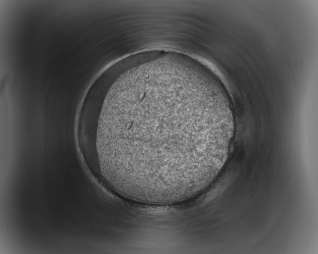 X0000087740999200705291009