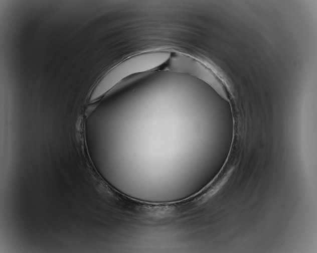 X0000087741001200705291009