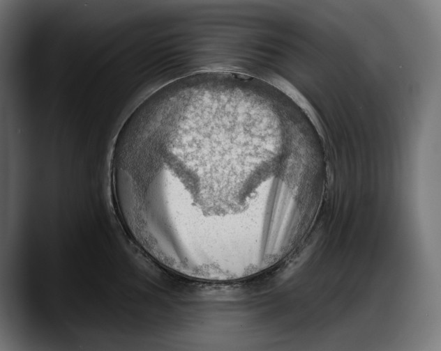 X0000087741002200705291009