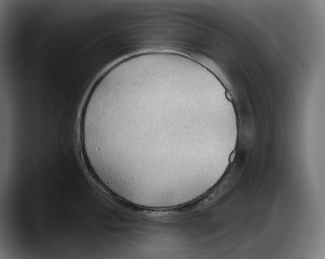 X0000087741004200705291009