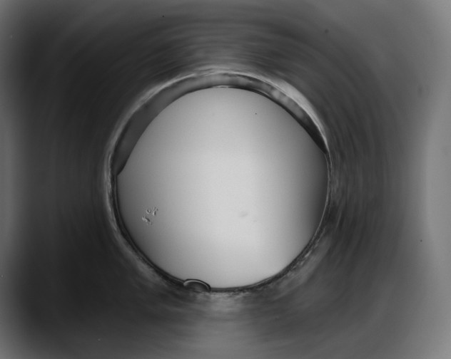 X0000087741005200705291009