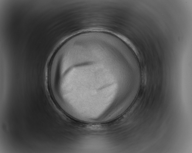 X0000087741006200705291009