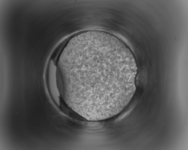 X0000087741007200705291009
