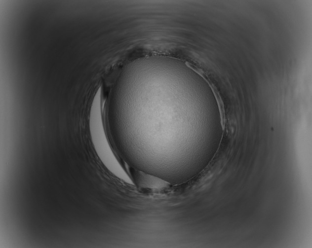 X0000087741010200705291008