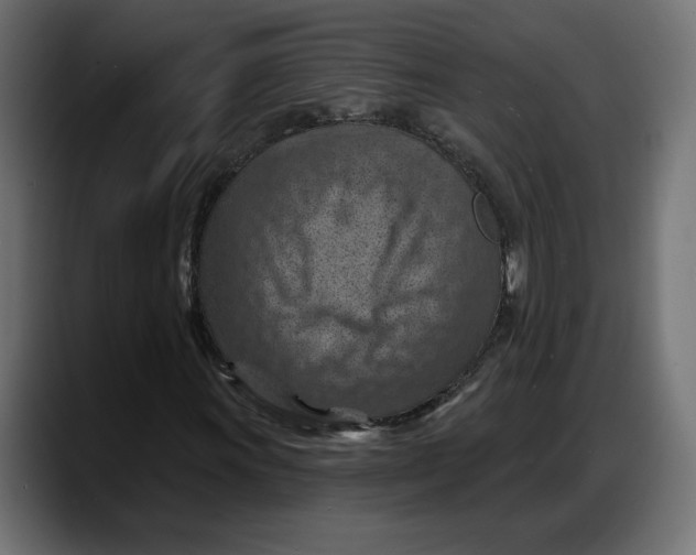 X0000087741011200705291008