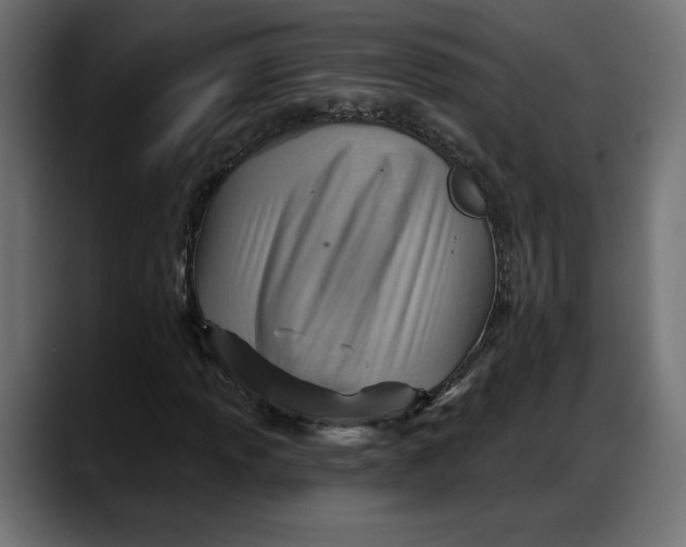 X0000087741013200705291008