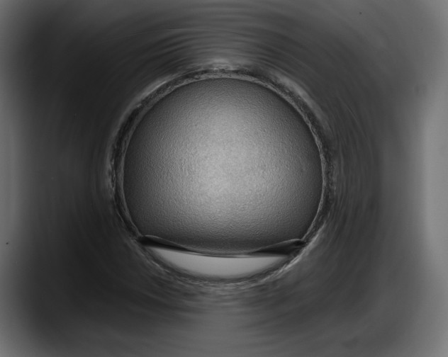 X0000087741018200705291008