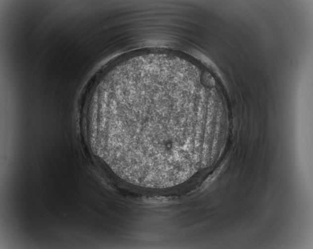 X0000087741019200705291008