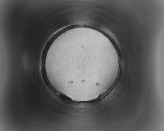 X0000087741020200705291008