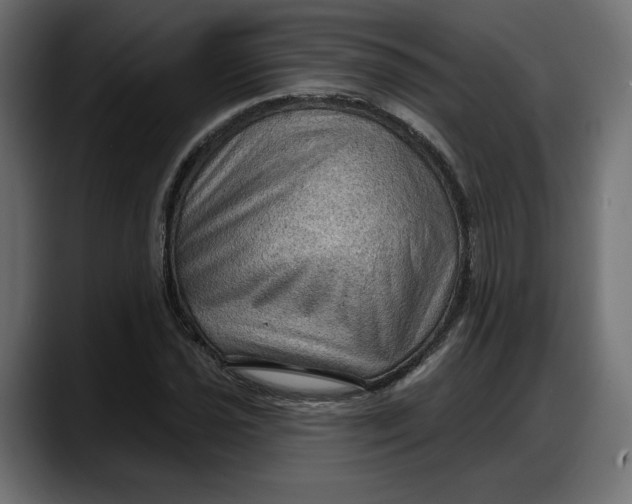 X0000087741021200705291008